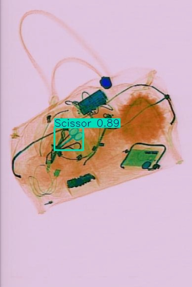 Detection preview by Segmentation_v8_large_300_train_300