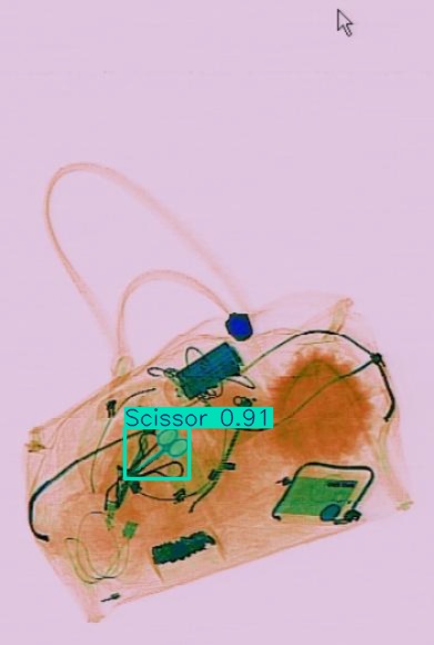 Detection preview by Segmentation_v8_large_300_train_300