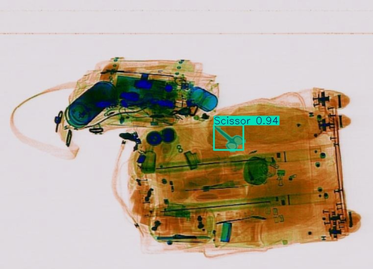 Detection preview by Segmentation_v8_large_300_train_300