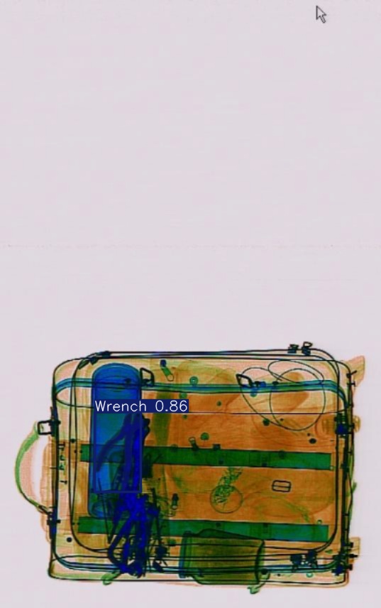 Detection preview by Segmentation_v8_large_300_train_300