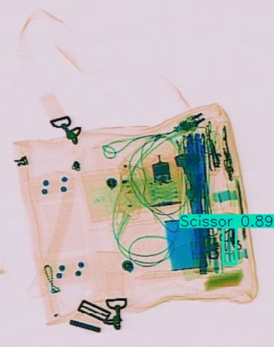 Detection preview by Segmentation_v8_large_300_train_300