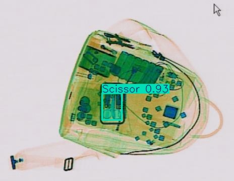 Detection preview by Segmentation_v8_large_300_train_300