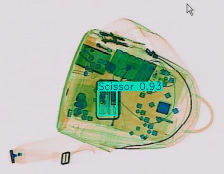 Detection preview by Segmentation_v8_large_300_train_300