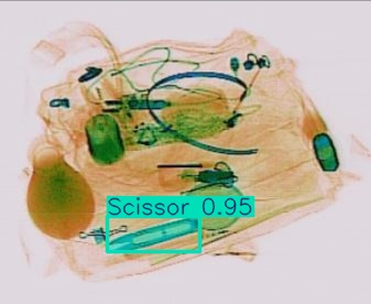 Detection preview by Segmentation_v8_large_300_train_300