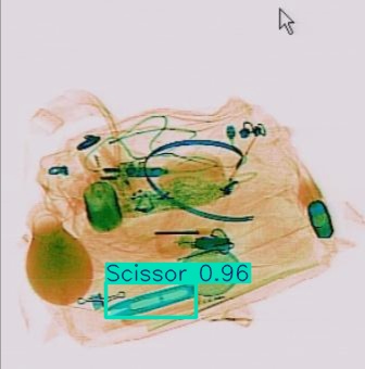 Detection preview by Segmentation_v8_large_300_train_300
