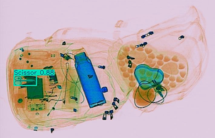 Detection preview by Segmentation_v8_large_300_train_300