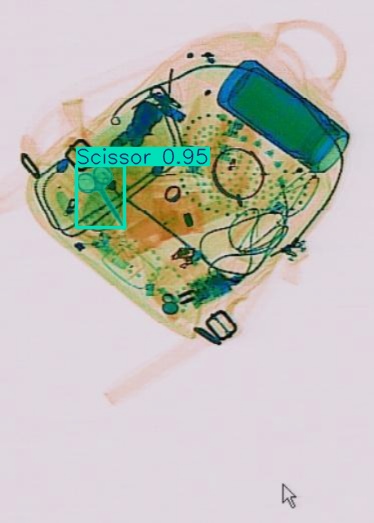 Detection preview by Segmentation_v8_large_300_train_300