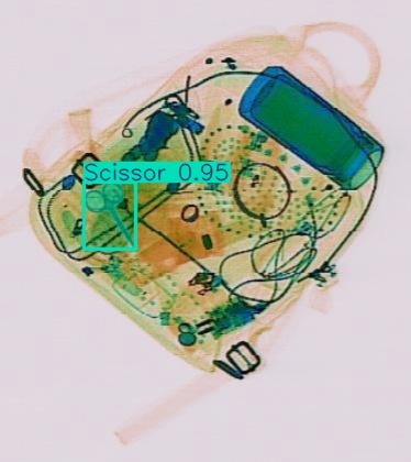 Detection preview by Segmentation_v8_large_300_train_300