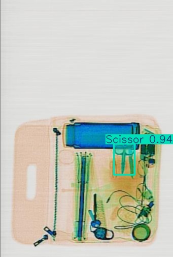 Detection preview by Segmentation_v8_large_300_train_300