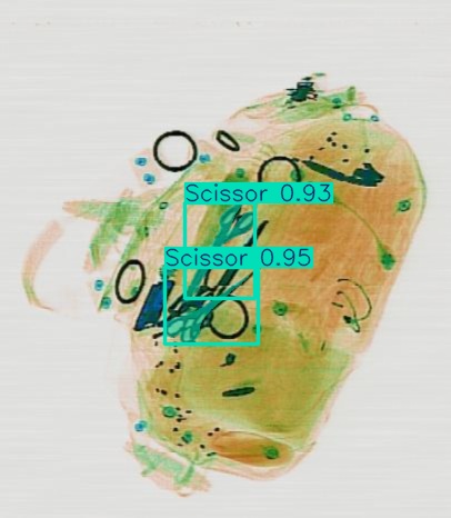Detection preview by Segmentation_v8_large_300_train_300