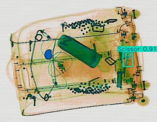 Detection preview by Segmentation_v8_large_300_train_300