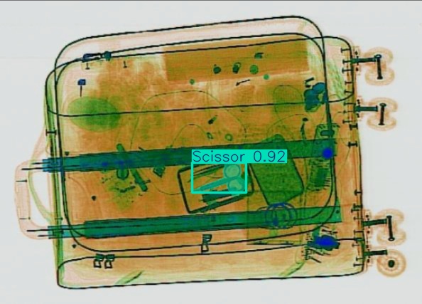 Detection preview by Segmentation_v8_large_300_train_300