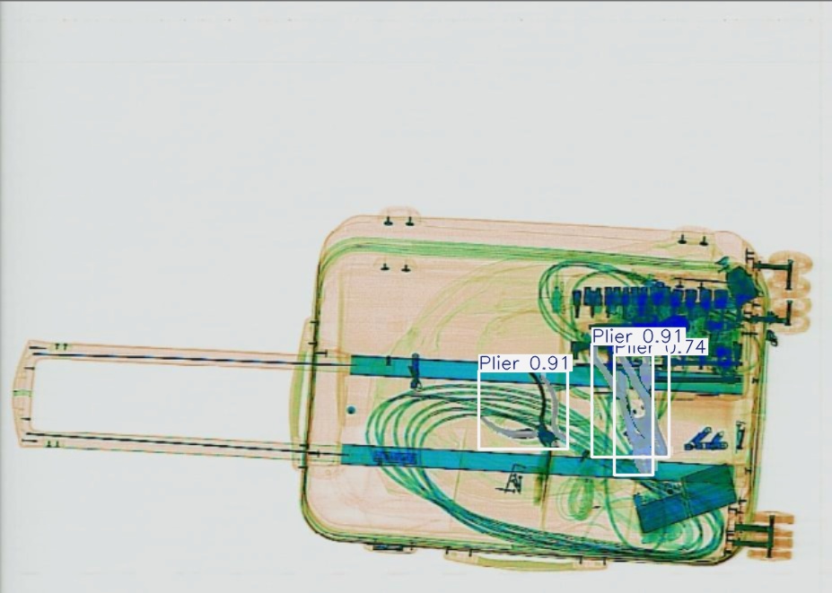 Detection preview by Segmentation_v8_large_300_train_300