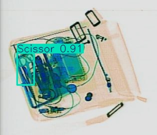 Detection preview by Segmentation_v8_large_300_train_300