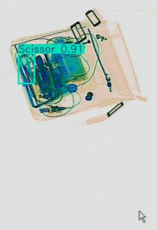 Detection preview by Segmentation_v8_large_300_train_300