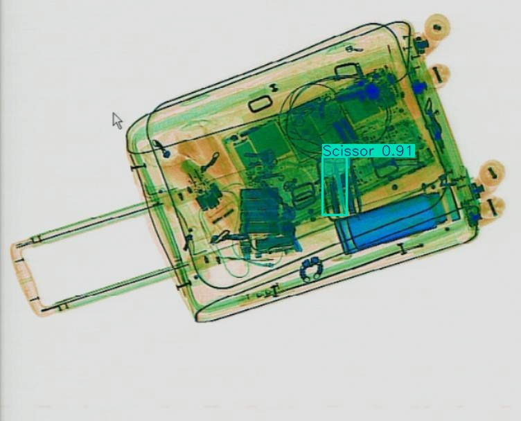 Detection preview by Segmentation_v8_large_300_train_300