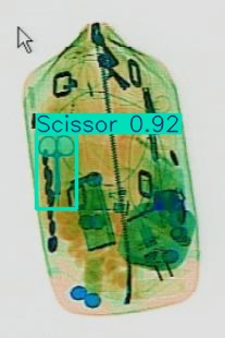 Detection preview by Segmentation_v8_large_300_train_300
