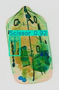 Detection preview by Segmentation_v8_large_300_train_300