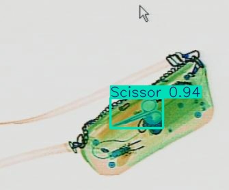 Detection preview by Segmentation_v8_large_300_train_300