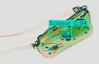 Detection preview by Segmentation_v8_large_300_train_300