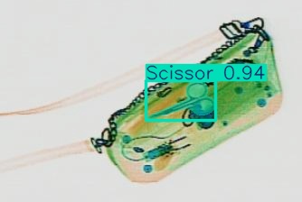 Detection preview by Segmentation_v8_large_300_train_300