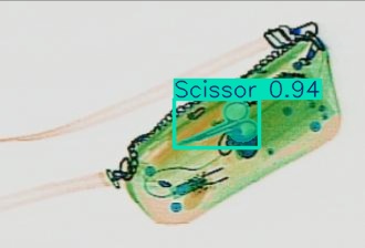 Detection preview by Segmentation_v8_large_300_train_300