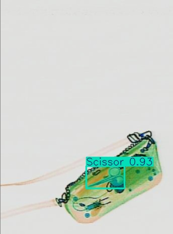 Detection preview by Segmentation_v8_large_300_train_300