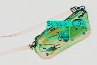 Detection preview by Segmentation_v8_large_300_train_300