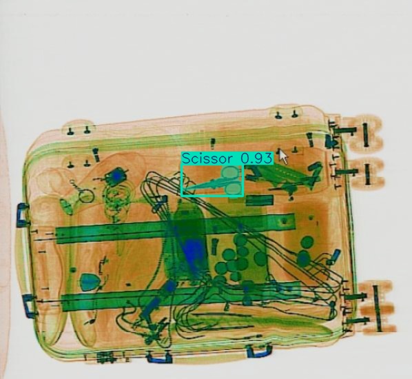 Detection preview by Segmentation_v8_large_300_train_300