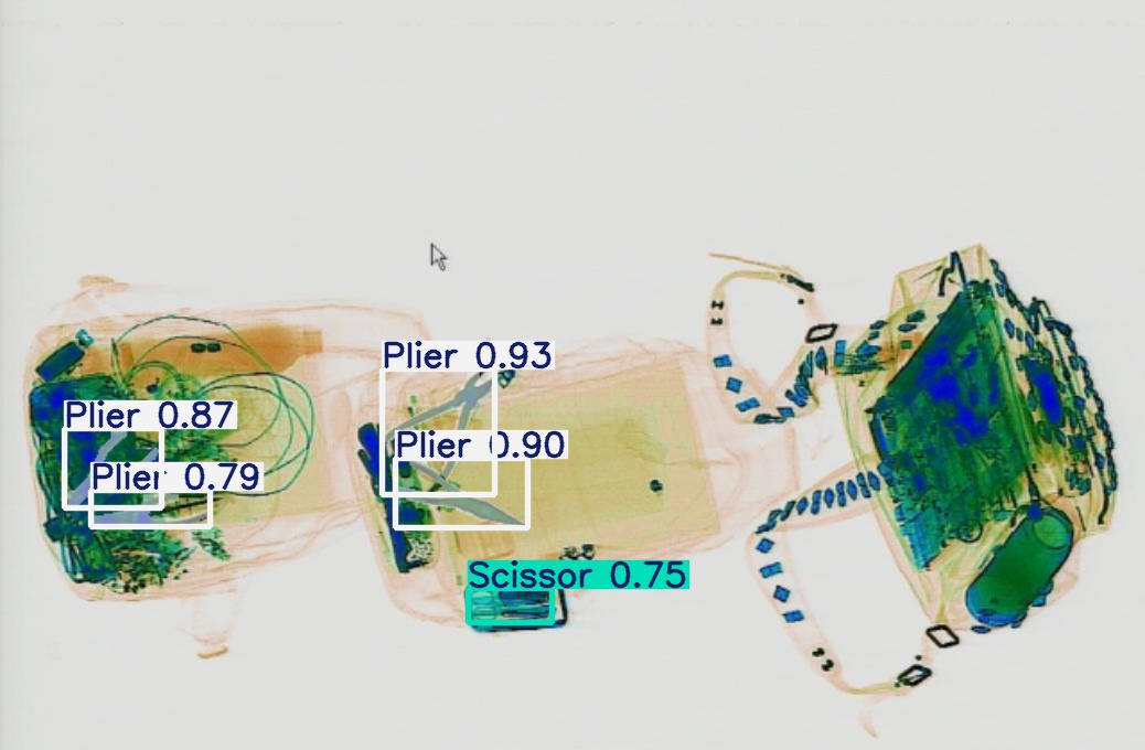 Detection preview by Segmentation_v8_large_300_train_300