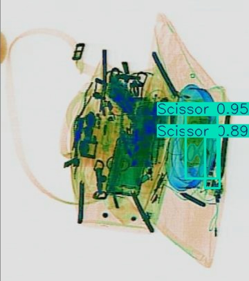 Detection preview by Segmentation_v8_large_300_train_300