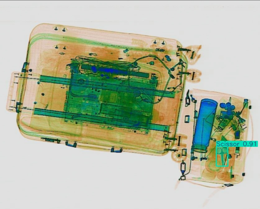 Detection preview by Segmentation_v8_large_300_train_300