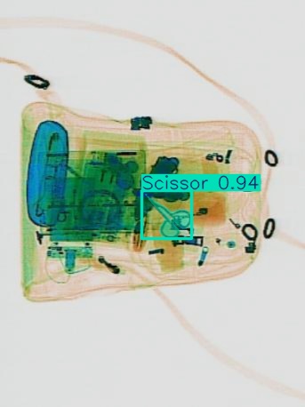 Detection preview by Segmentation_v8_large_300_train_300