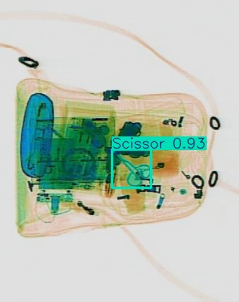 Detection preview by Segmentation_v8_large_300_train_300