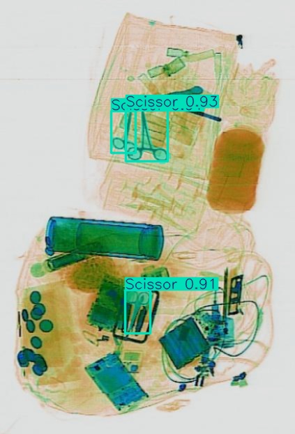 Detection preview by Segmentation_v8_large_300_train_300