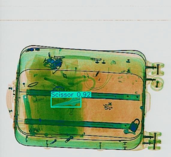 Detection preview by Segmentation_v8_large_300_train_300