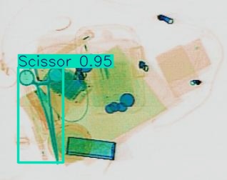 Detection preview by Segmentation_v8_large_300_train_300