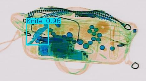 Detection preview by Segmentation_v8_large_300_train_300