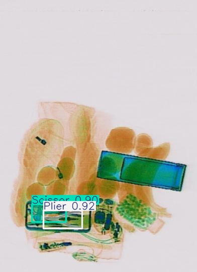 Detection preview by Segmentation_v8_large_300_train_300