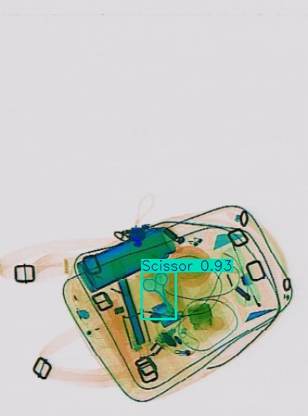 Detection preview by Segmentation_v8_large_300_train_300