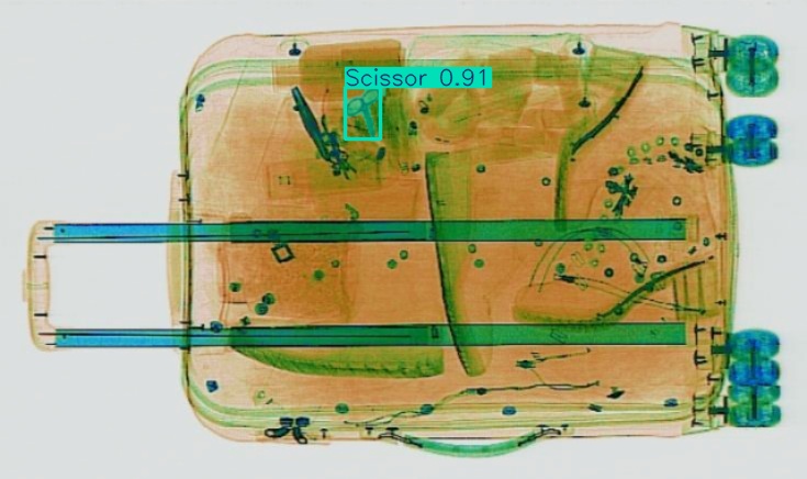 Detection preview by Segmentation_v8_large_300_train_300