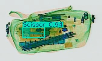 Detection preview by Segmentation_v8_large_300_train_300