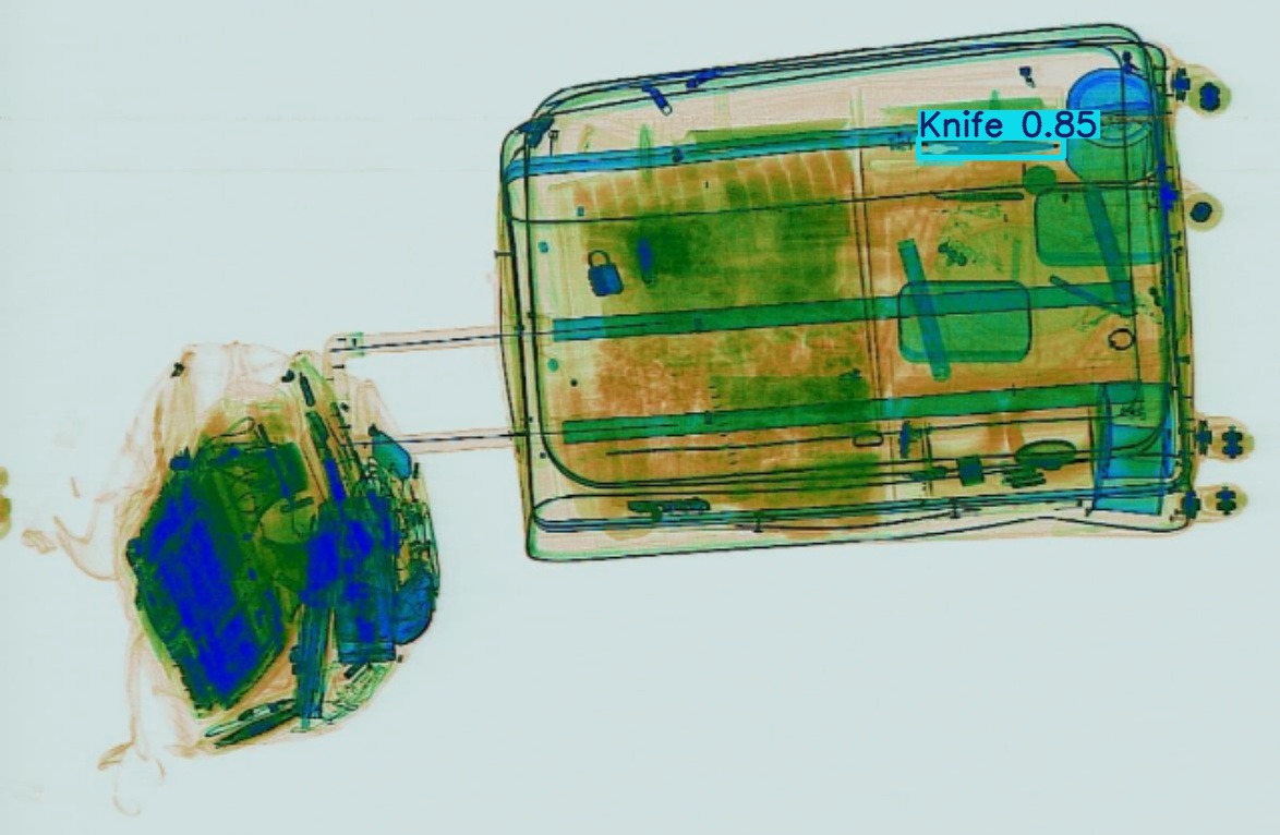 Detection preview by Segmentation_v8_large_300_train_300