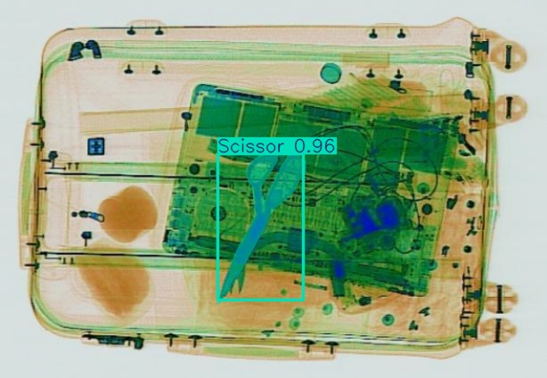 Detection preview by Segmentation_v8_large_300_train_300