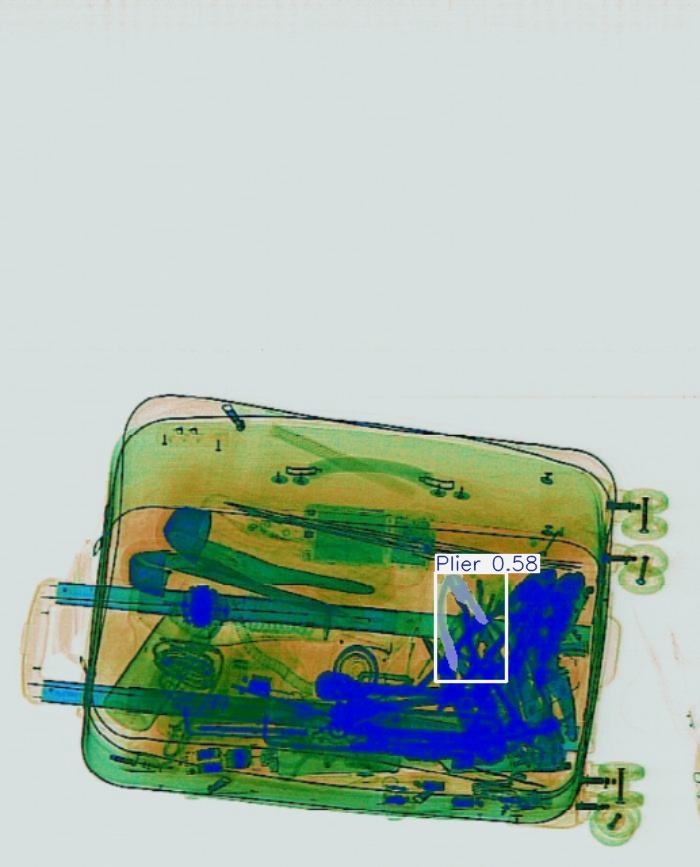 Detection preview by Segmentation_v8_large_300_train_300