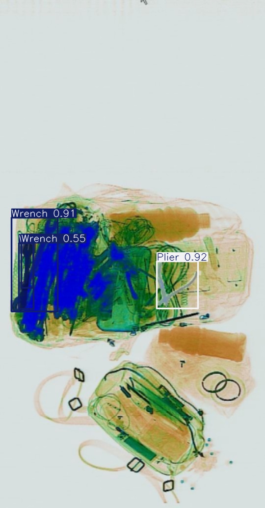 Detection preview by Segmentation_v8_large_300_train_300