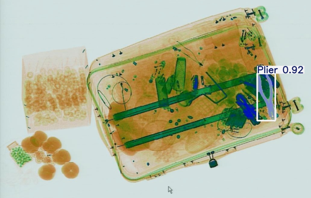 Detection preview by Segmentation_v8_large_300_train_300