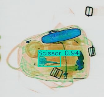 Detection preview by Segmentation_v8_large_300_train_300