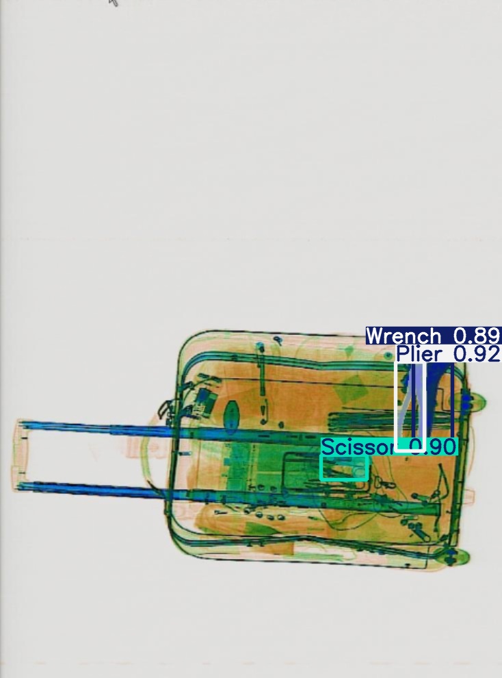 Detection preview by Segmentation_v8_large_300_train_300