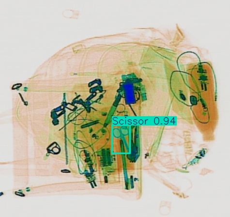 Detection preview by Segmentation_v8_large_300_train_300